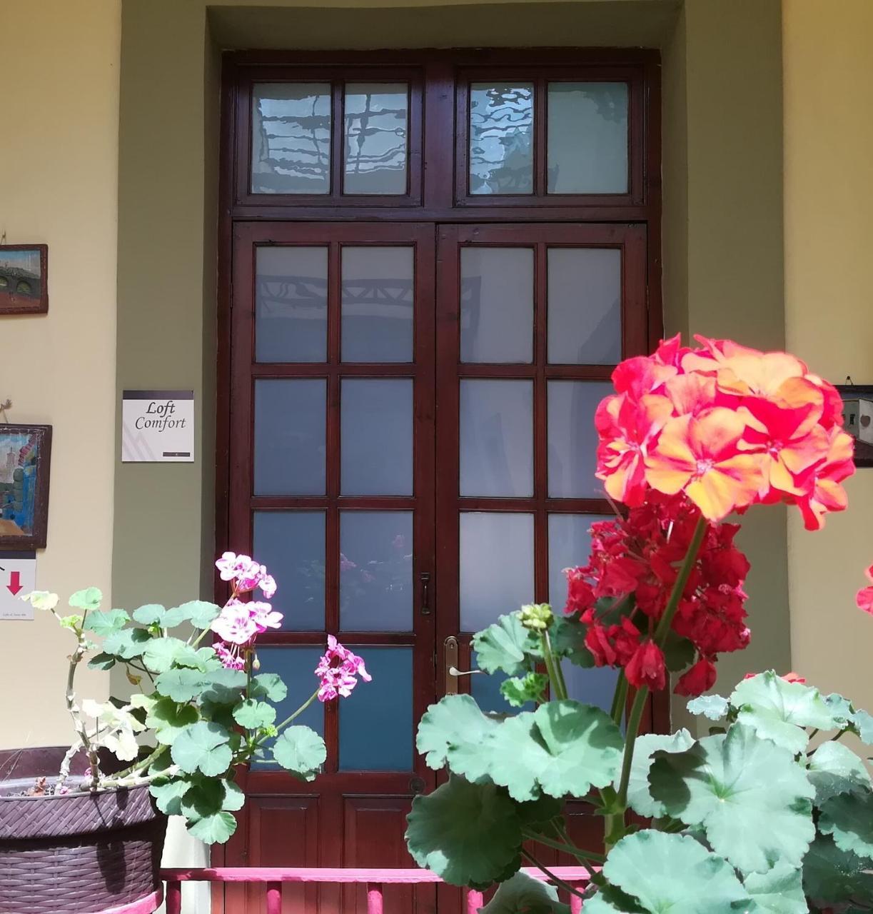Casa Hotel Aroma 406 Puebla Kültér fotó